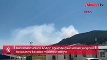 Kahramanmaraş’ta orman yangını! Müdahale başladı