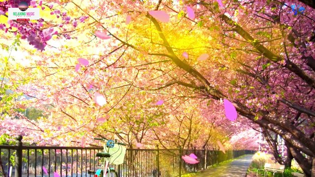 Calming Music with Birds Sound | Nature Video with Sleep Music | Meditation Music for Calmness | Relaxing Bird Sounds for Relaxation | Soothing Nature Video with Sleep Music