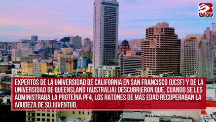 Científicos ‘rejuvenecen’ el cerebro de ratones durante décadas