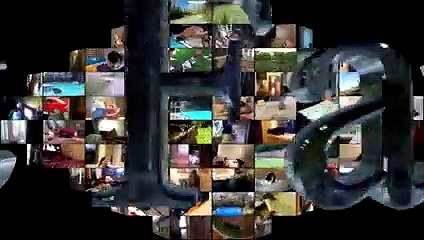 Animal Fails of the Week 3 May 2017 - Animal Fails Compilation 2017