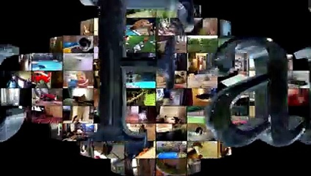 Animal Fails of the Week 1 June 2016 - Animal Fail Videos - Animal Fails Compilation 2016