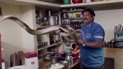 విశాఖ జిల్లా: వంట గదిలో నాగుపాము హల్‌చల్