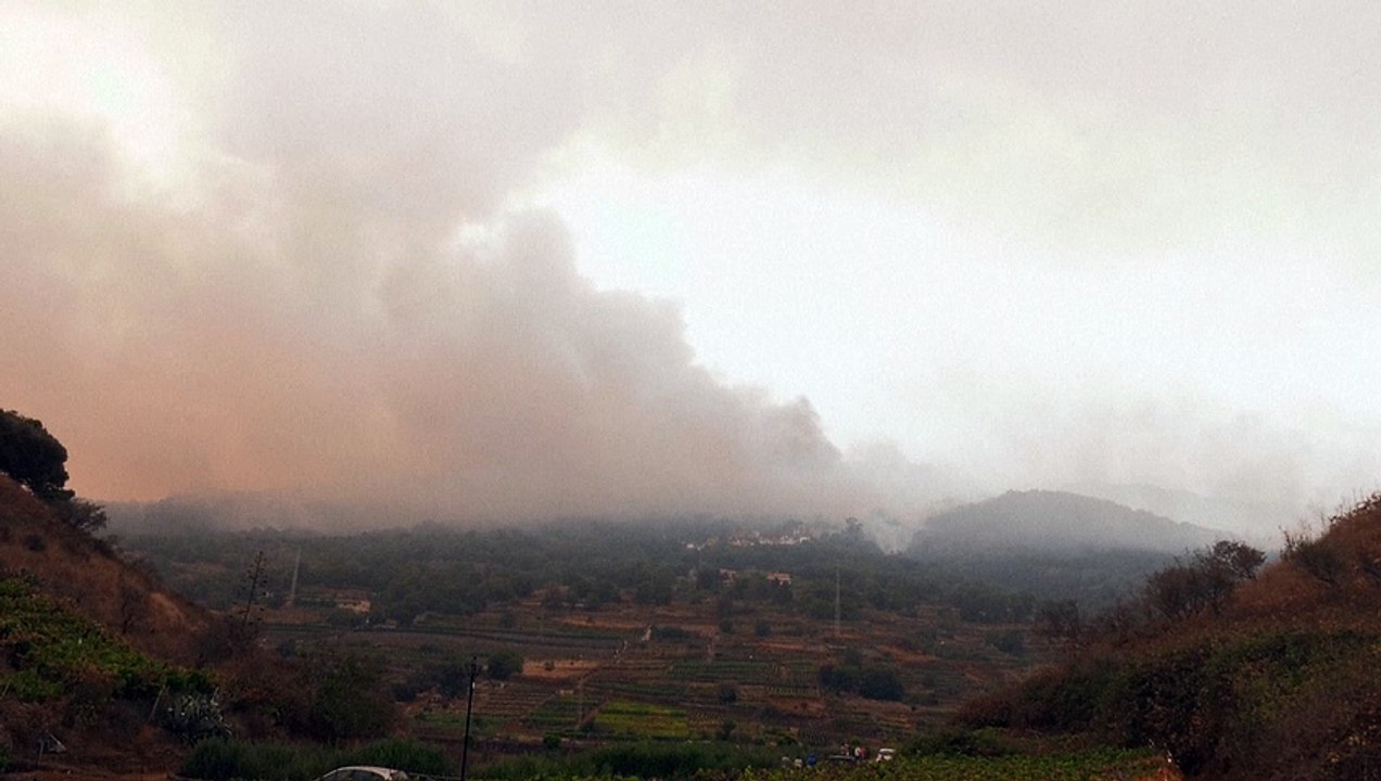 Wind facht Waldbrände auf Teneriffa an