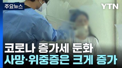 증가세는 꺾였지만...'4등급 전환' 시기 다음 주 발표 / YTN