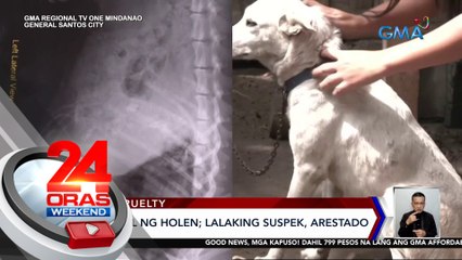 Aso, binaril ng holen; lalaking suspek, arestado | 24 Oras Weekend