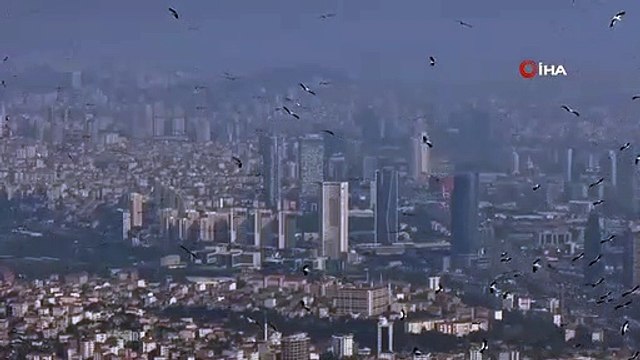 Des centaines de milliers de cigognes ont décoré le ciel d'Istanbul