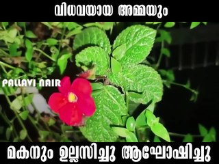 വിധവയായ അമ്മയും മകനും | Real life motivational story