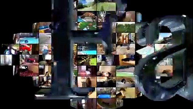 Animal Fails of the Week 1 August 2016 - Animal Fail Videos - Animal Fails Compilation 2016