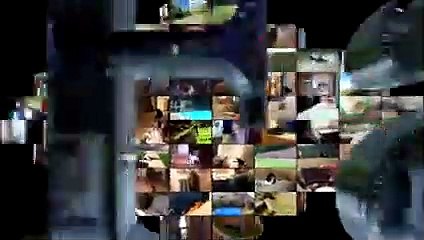 Animal Fails of the Week 2 September 2016  - Animal Fails Compilation 2016