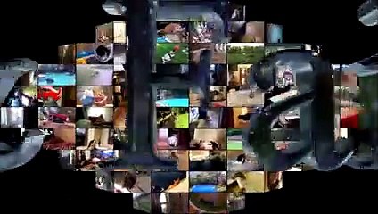 Funny Animals Playing Dead - Funny Animals Compilation - Funny Animals 2016