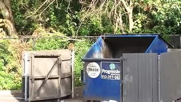 Animal Fails of the Week 3 May 2016 - Animal Fail Videos - Animal Fails Compilation 2016