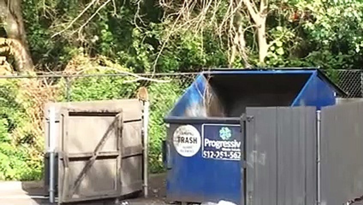 Animal Fails of the Week 3 May 2016 - Animal Fail Videos - Animal Fails Compilation 2016