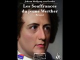 Johann Wolfgang von Goethe - Les Souffrances du jeune Werther - Résumé