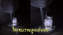 แม่ตื่นมากลางดึกแทบช็อก ไอ้ต้าวเอ็งจะทำแบบนั้นไม่ได้