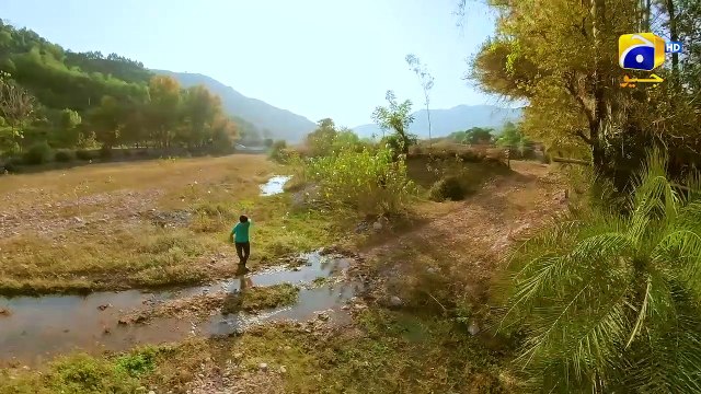 Abiha Ki Maut Aur Faris Ka Gussa Jinzada FLO Digital