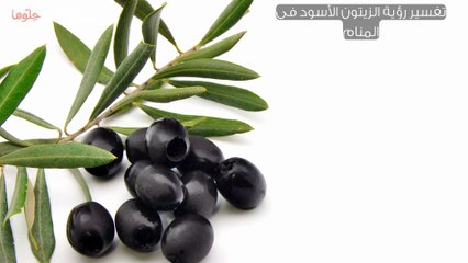 تفسير رؤية الزيتون الأسود في المنام