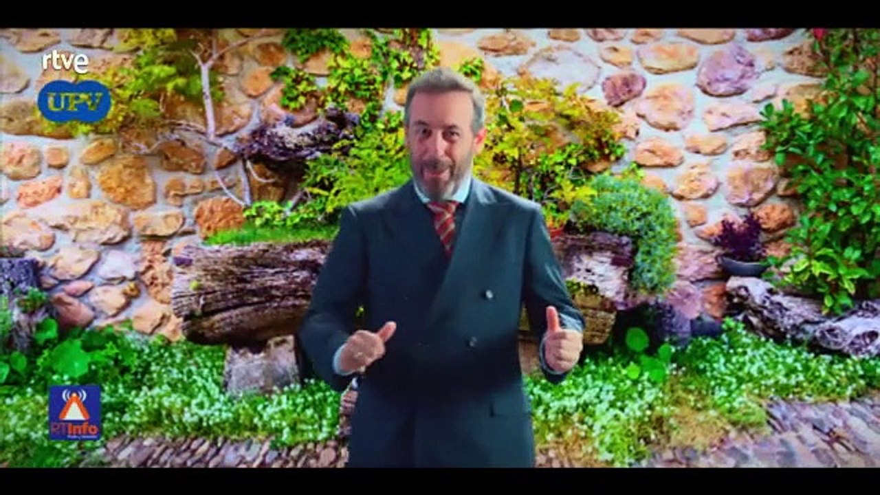 4 estrellas - Epio 69: Día de elecciones