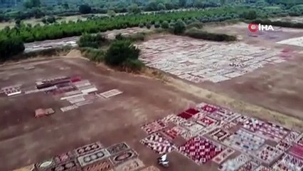 Ils veillent jusqu'au matin dans le champ le plus précieux de Turquie ! Certains d'entre eux valent 10 à 15 000 dollars