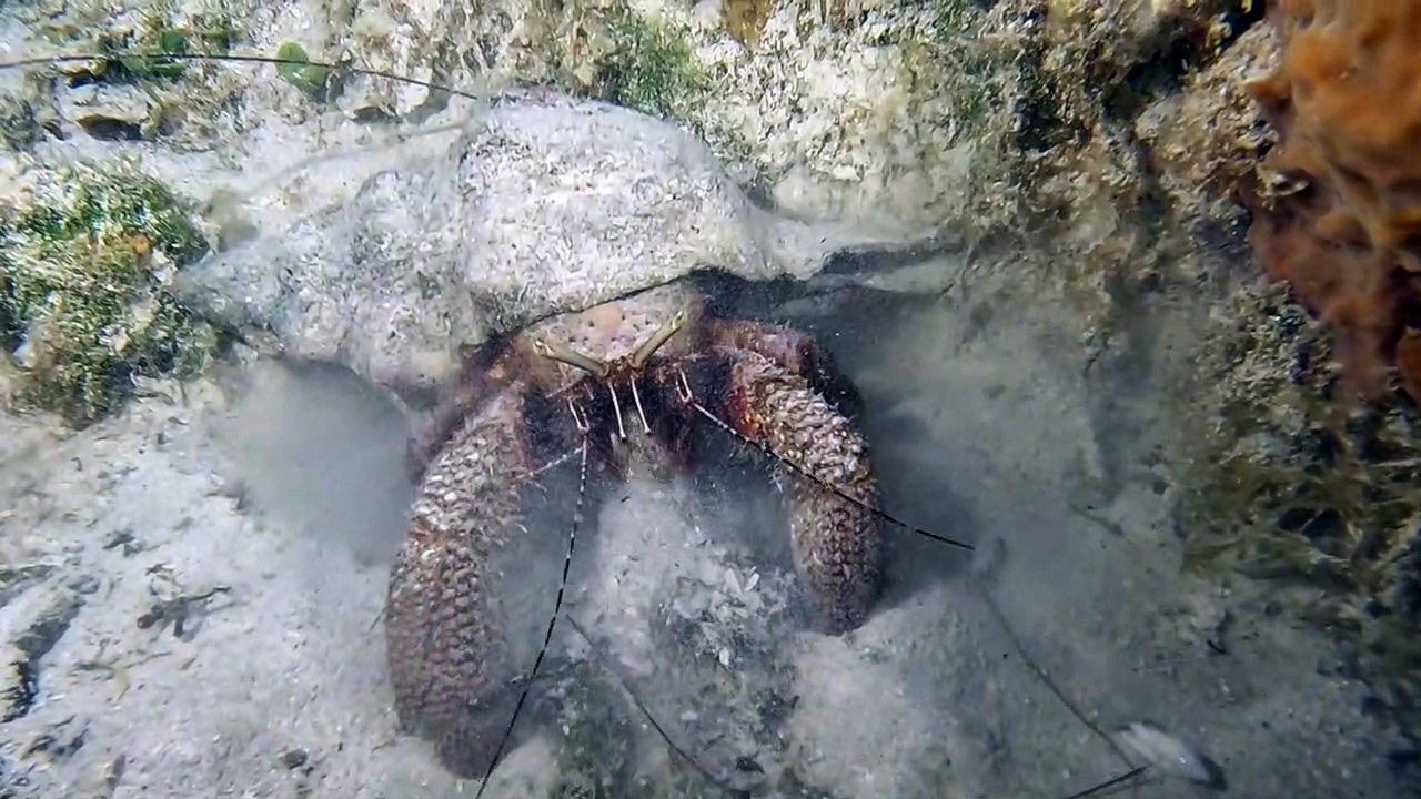 Underwater Excavation