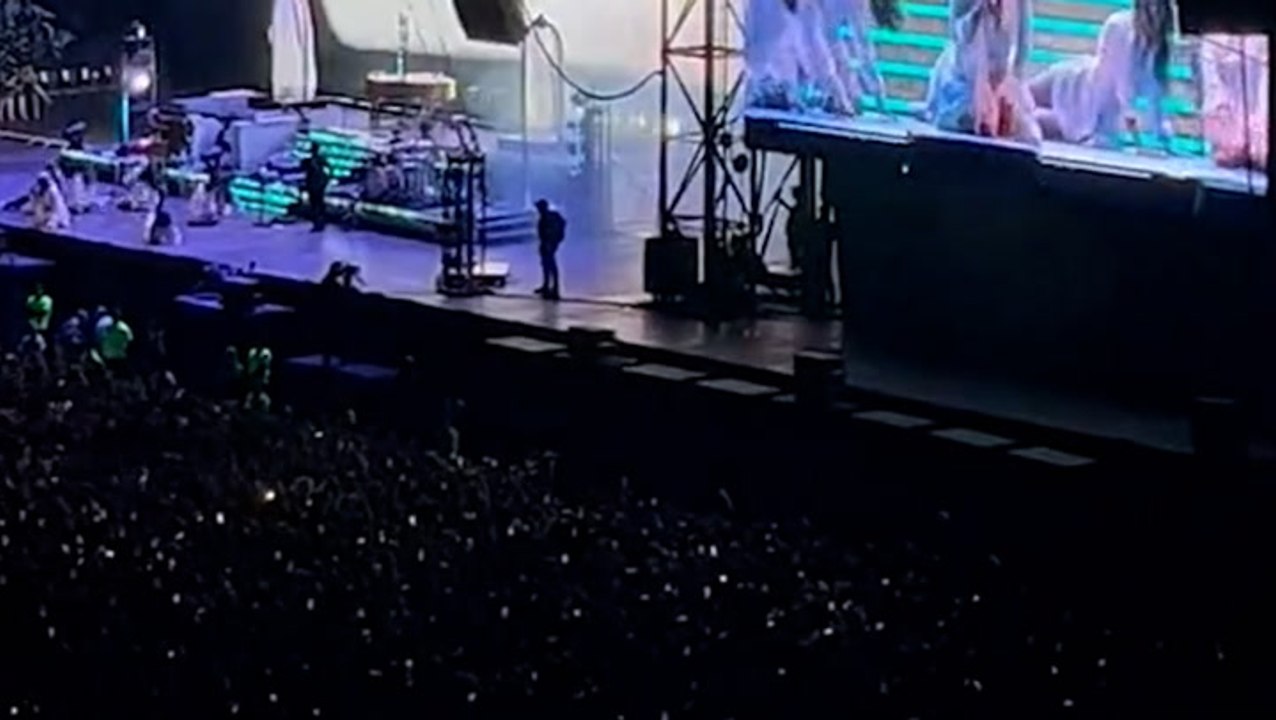 ‘Domino effect’ sees hundreds of Lana Del Rey fans knocked over during concert