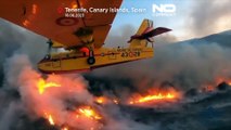 Ferieninsel in Flammen: Waldbrände auf Teneriffa weiterhin außer Kontrolle