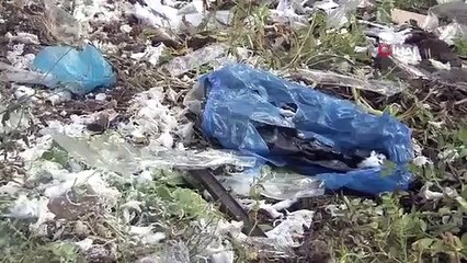 Pénalité de 812 000 TL pour l'entreprise qui a laissé des déchets dans la zone boisée de Kocaeli