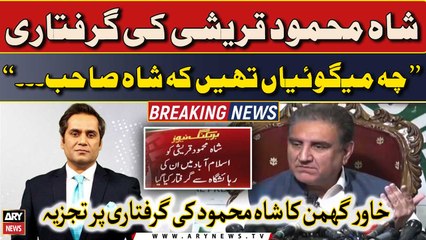 Khawar Ghumman's reaction on Shah Mehmood Qureshi's Arrest