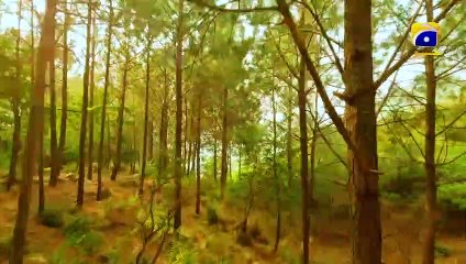 Jinzada Episode 28   Best Moment 03   Syed Jibran - Nazish Jahangir - Saad Qureshi   FLO Digital