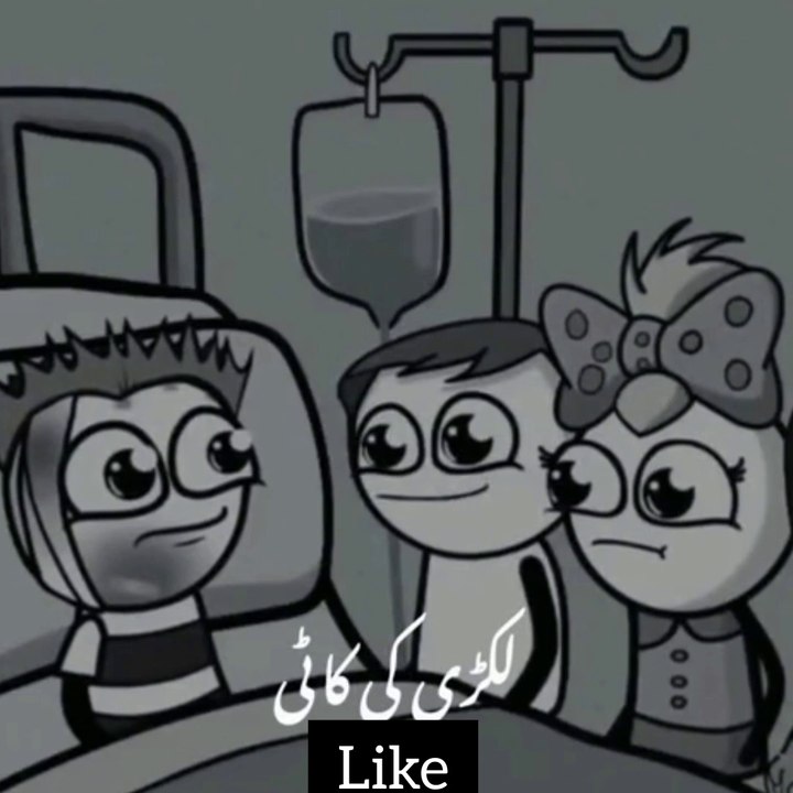 Funny video