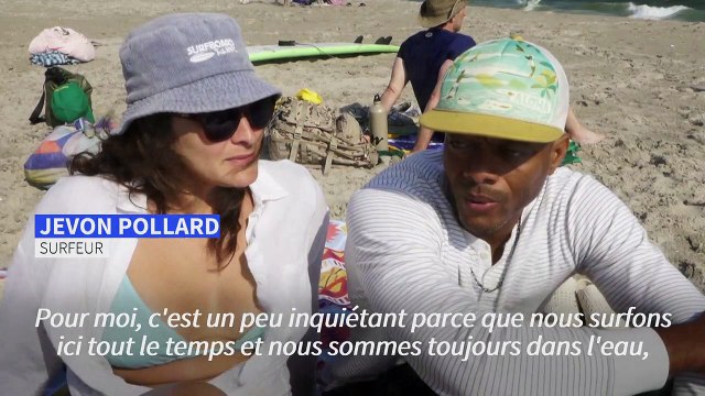 Après une rare morsure de requins, les New-Yorkais de retour à Rockaway sous surveillance