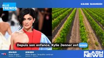 La fortune impressionnante de Kylie Jenner dévoilée par Forbes : un chiffre à couper le souffle
