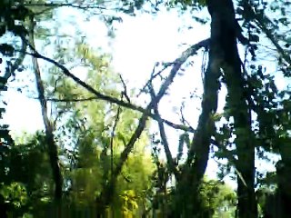 The crowning of Belphebe