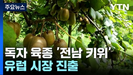 유럽 진출 쾌거 '전남 키위'...10년 동안 '로열티'만 150억 원! / YTN