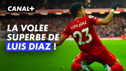 La volée magique de Luis Diaz - Liverpool / Bournemouth - Premier League 2023-24 (J2)