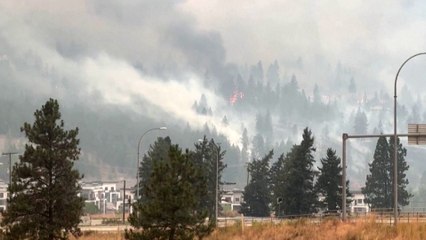 حرائق الغابات في كندا تتوحش.. وفرق الإنقاذ تحاول كبح جماحها