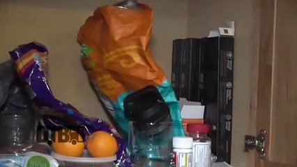 The Blue Stones - BUS INVADERS Ep. 1780