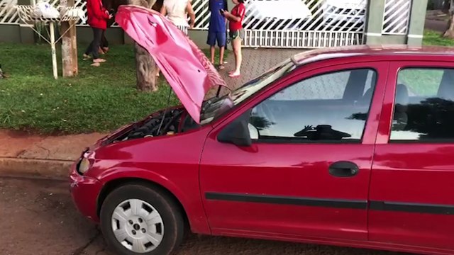 Colisão entre carro e cavalo deixa pessoa ferida no Cascavel Velho