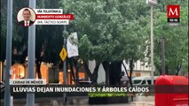 Saldo blanco tras caídas de árboles y encharcamientos por fuertes lluvias en CdMx