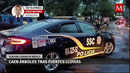 Caen árboles sobre vías del tren ligero en Tlalpan, CdMx