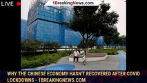Why the Chinese economy hasn't recovered after COVID lockdowns - 1breakingnews.com