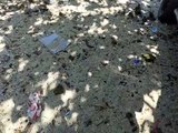 Sampah Bertebaran di Pantai Enabara