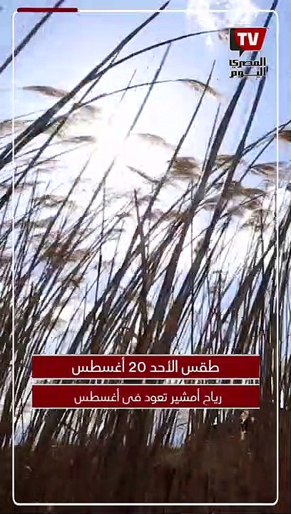 رياح أمشير تعود فى أغسطس..  طقس اليوم الأحد...
