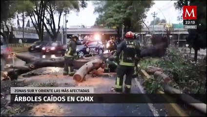 Download Video: Impacto de las lluvias en la CdMx; Inundaciones y caída de árboles