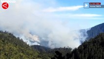 Fenomena Embun Upas Diduga Penyebab Kebakaran Gunung Bromo