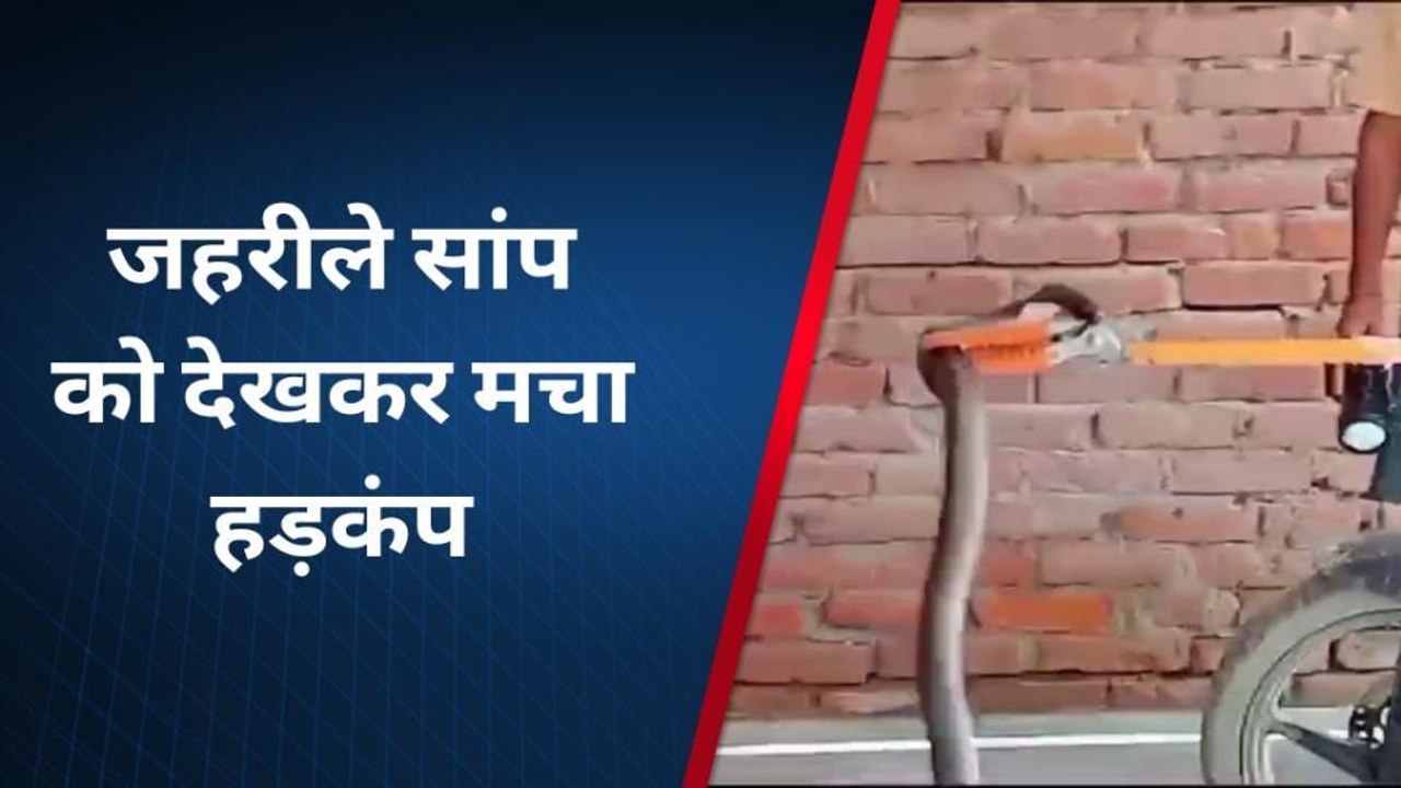 बहराइच: घर के अंदर बैठा था जहरीला कोबरा सांप, देख कर ग्रामीणों में मचा हड़कंप