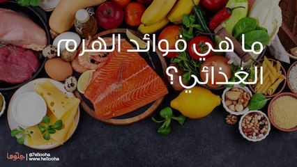 ما هي فوائد الهرم الغذائي؟