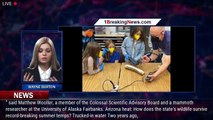 Alaska schoolchildren join efforts to bring back woolly mammoths - 1breakingnews.com
