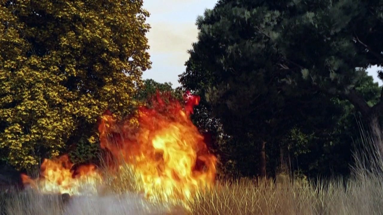 Videografik: So werden Waldbrände bekämpft