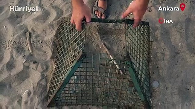 Bakan Özhaseki: Caretta carettaların yuva sayısı 2 bin 551’e ulaştı