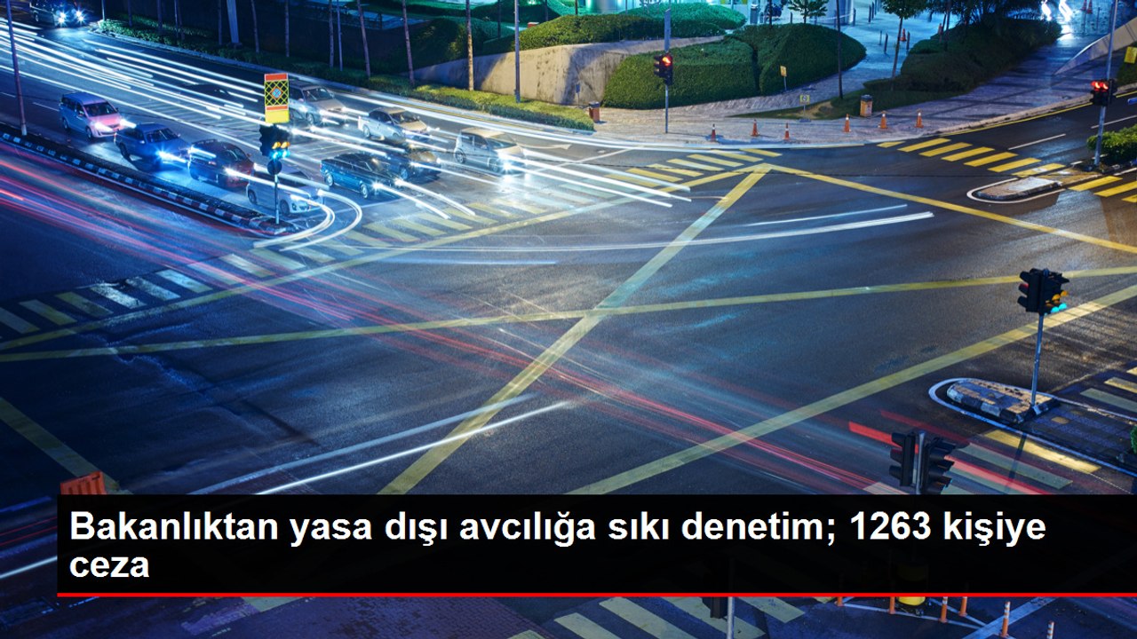 Bakanlıktan yasa dışı avcılığa sıkı denetim; 12...